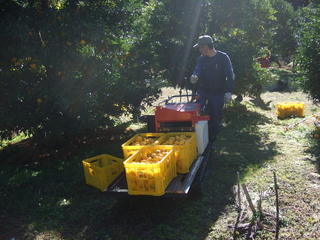 DSCF3177.JPG