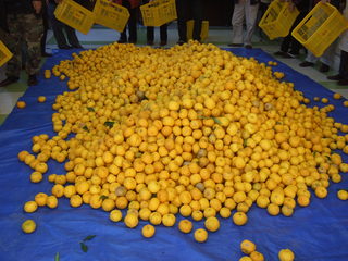 DSCF3188.JPG
