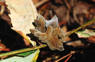 DSC_5673.jpg