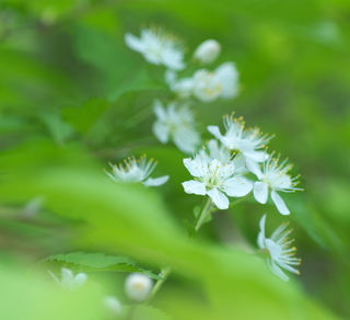 DSC_8181.jpg