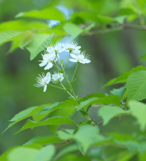 DSC_8184.jpg