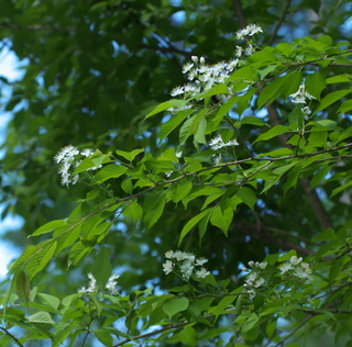 DSC_8218.jpg