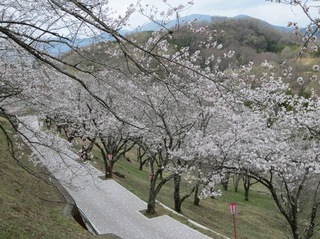 BIMG_0074.JPG