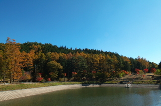桜池.jpg