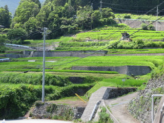 IMG_0825.JPG