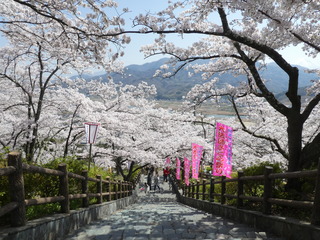 P1010344.JPG