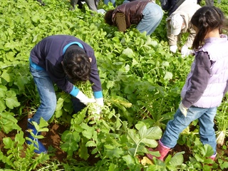P1020514.JPG